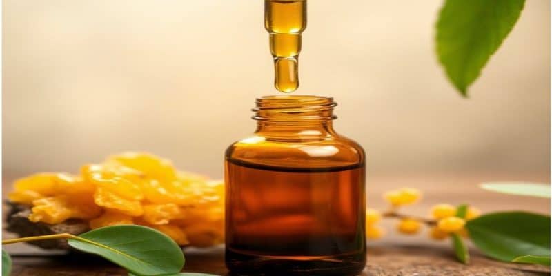 Copaiba Oil