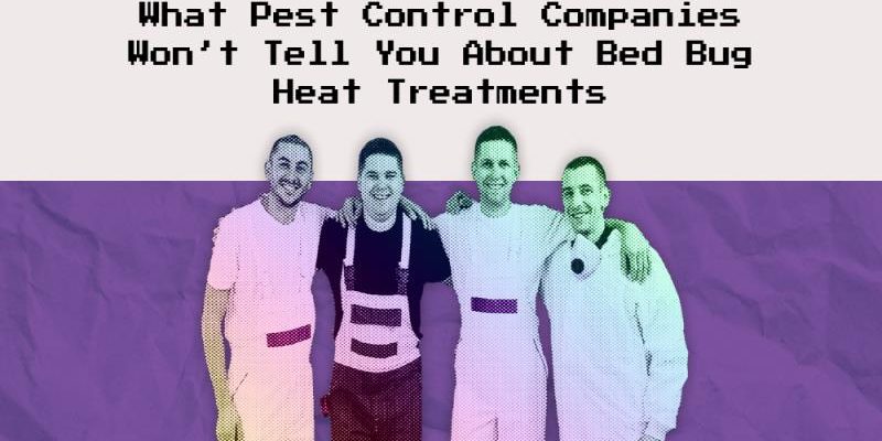 What Pest Control Companies Won’t Tell You About Bed Bug Heat Treatments