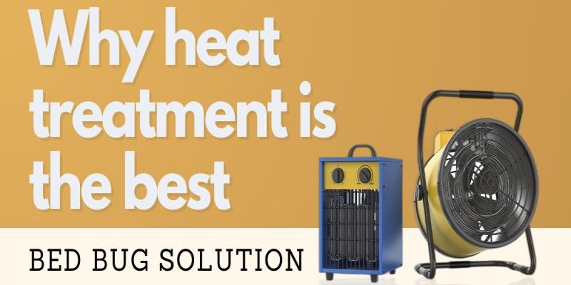Why Heat Treatment Is the Best Bed Bug Solution
