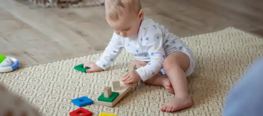 Durable Rugs
