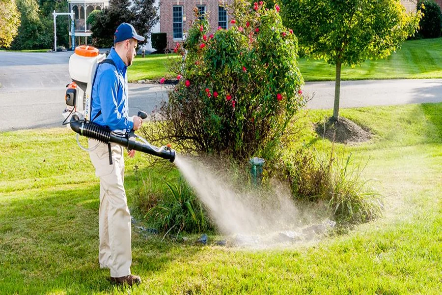 Why Professional Mosquito Treatment Is Essential for Backyard Gatherings