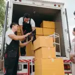 What Questions Should You Ask Breeders Before Bringing A Puppy Home?