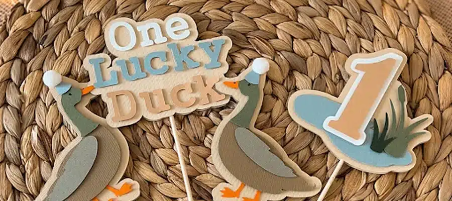 Make a Splash with the Ultimate Duck Theme Birthday Party Celebration