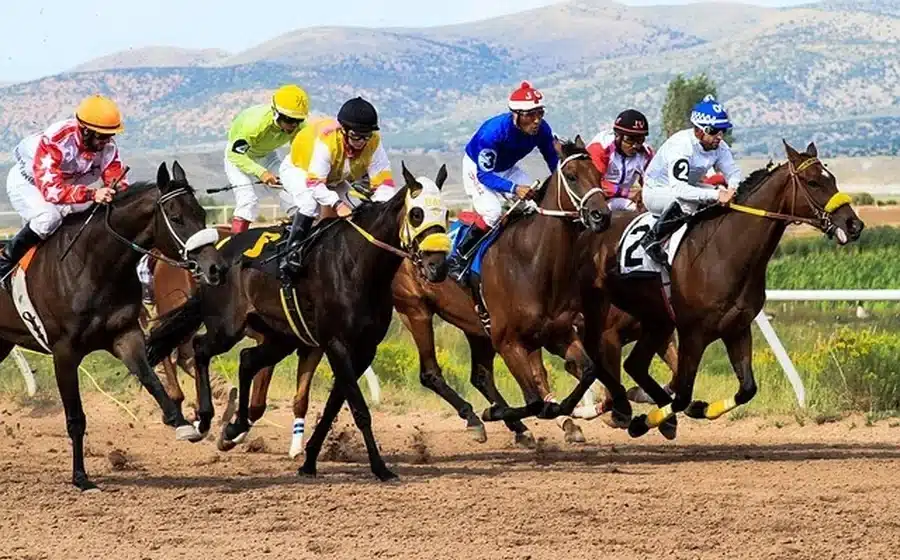 Horse racing